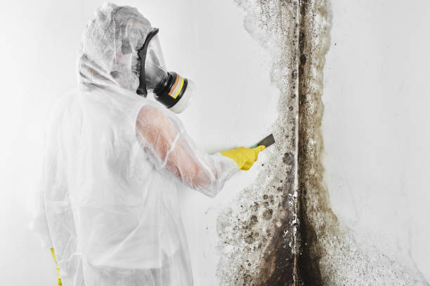 Crawl Space Mold Removal in Muniz, TX
