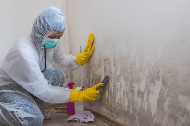 Best Residential Mold Removal  in Muniz, TX