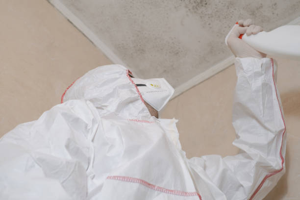 Best Black Mold Removal  in Muniz, TX