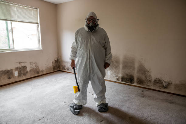 Best Local Mold Removal Service  in Muniz, TX